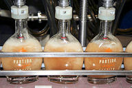 Bottle filling machine at Partida
