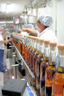Bottling line at El Agave