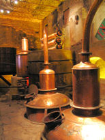 Herradura antiguo - old distillery now a museum