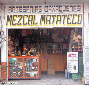 mezcal seller