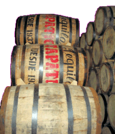 Small barrels at Tapatio