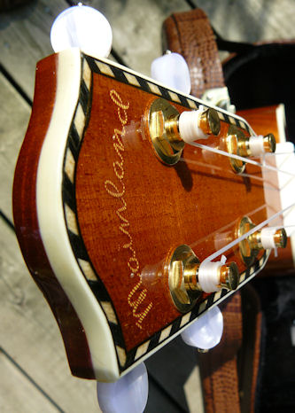 Mainland mango headstock