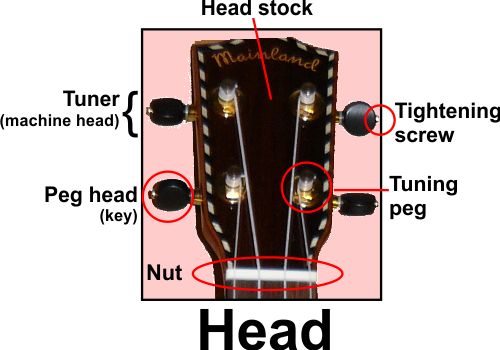 Uke head