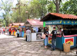 Booths at the Mezcal Fair